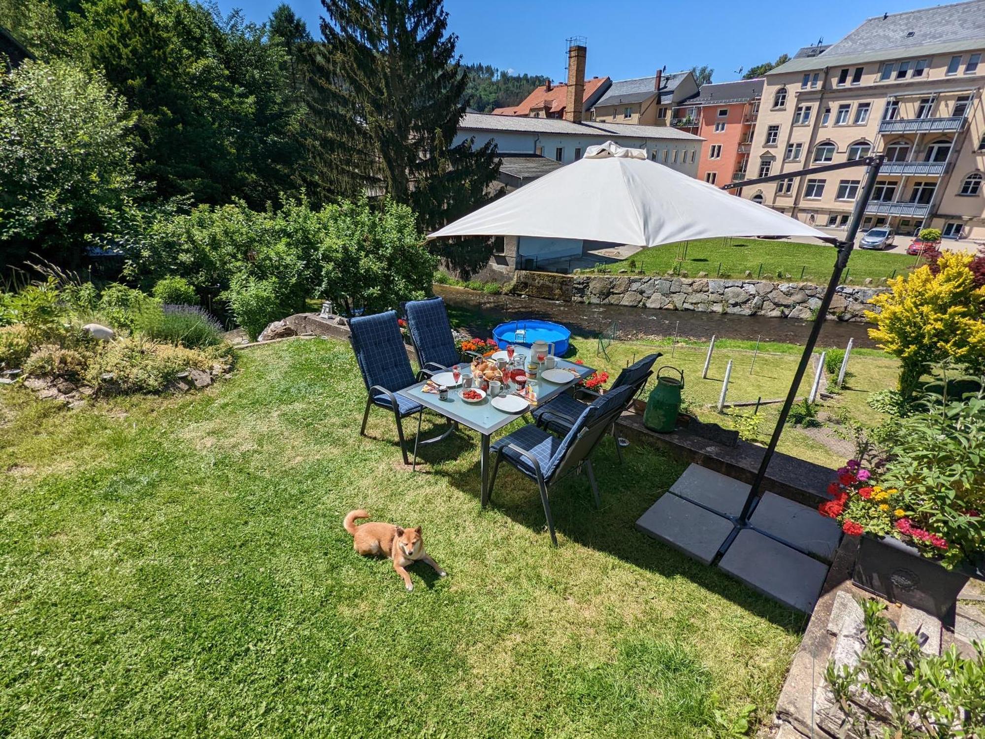 F1 - Urlaubsmagie - Helle Wohnung Mit Sauna & Pool & Whirlpool Sebnitz Exteriör bild